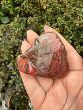 Load image into Gallery viewer, Large Red Ammolite Specimen
