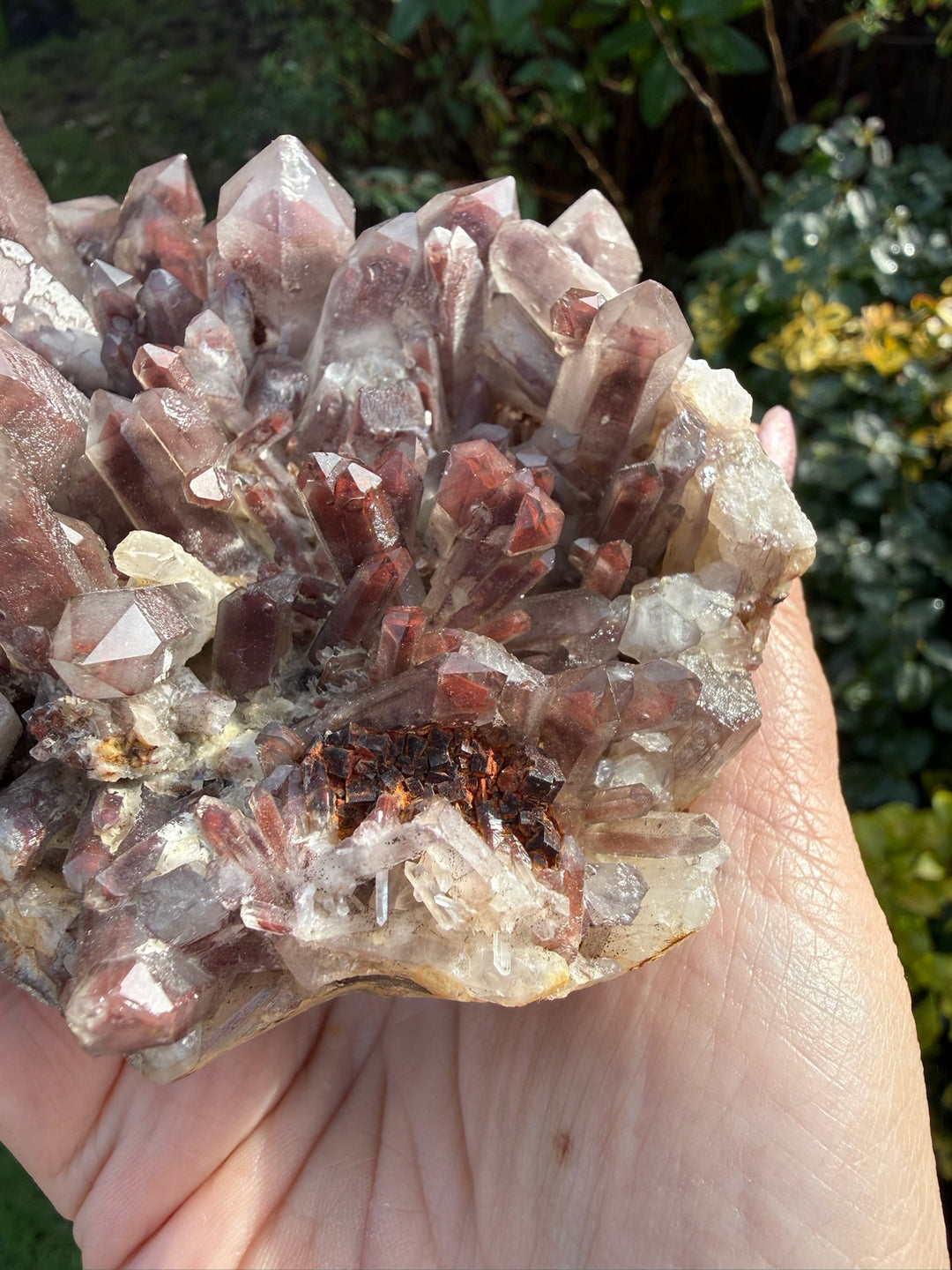 Hematite Phantom Quartz Cluster Specimen from Guangdong