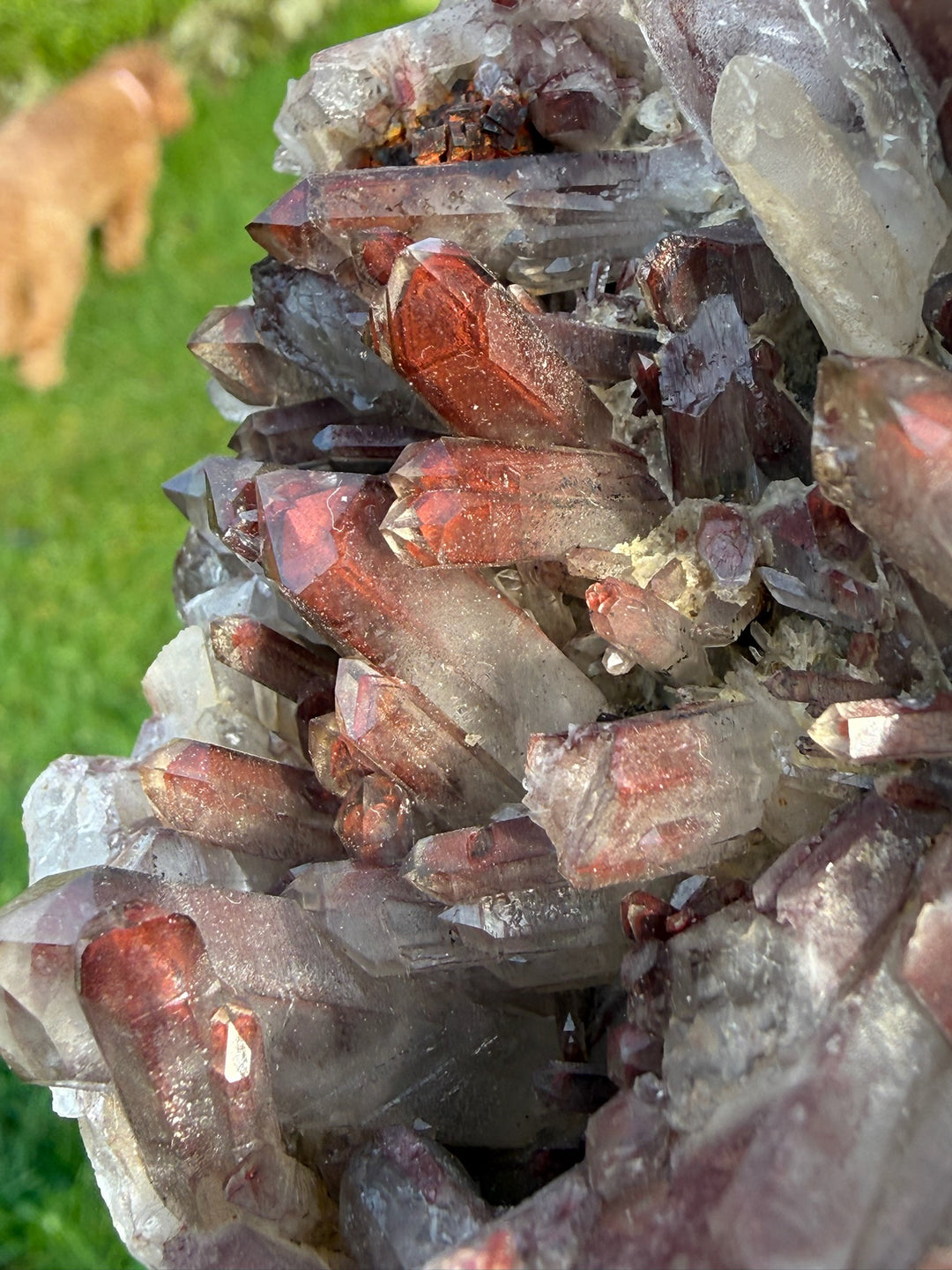 Hematite Phantom Quartz Cluster Specimen from Guangdong