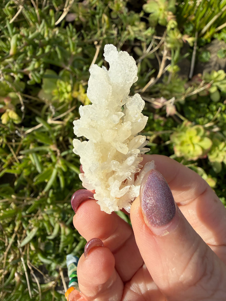 White Aragonite Specimen