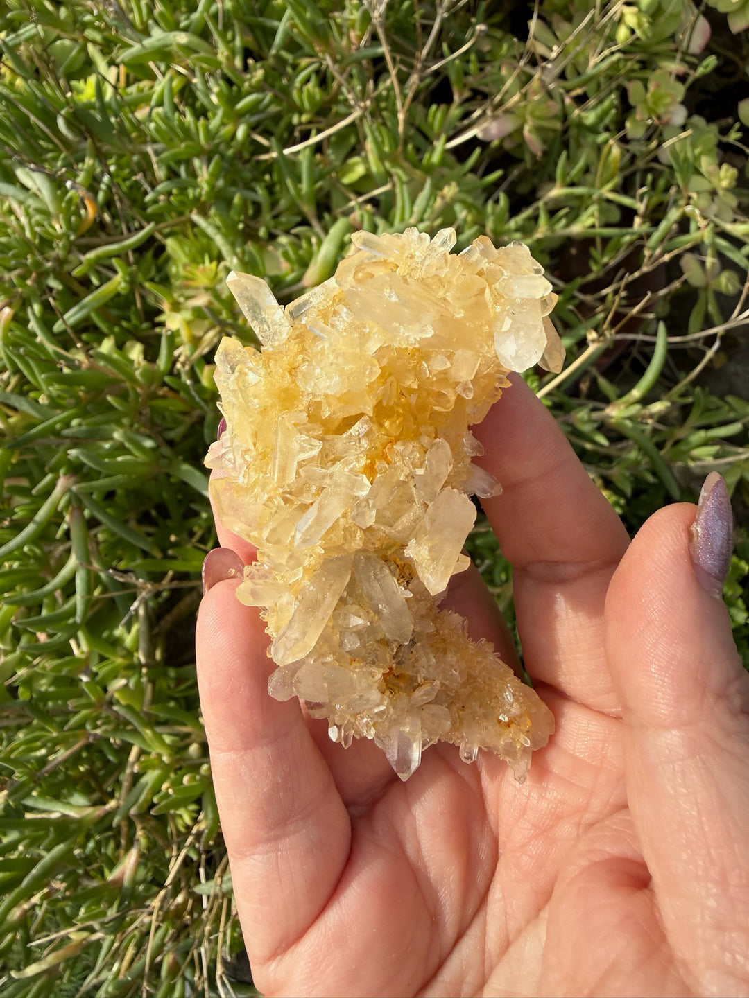 Quartz and Limonite Cluster Specimen