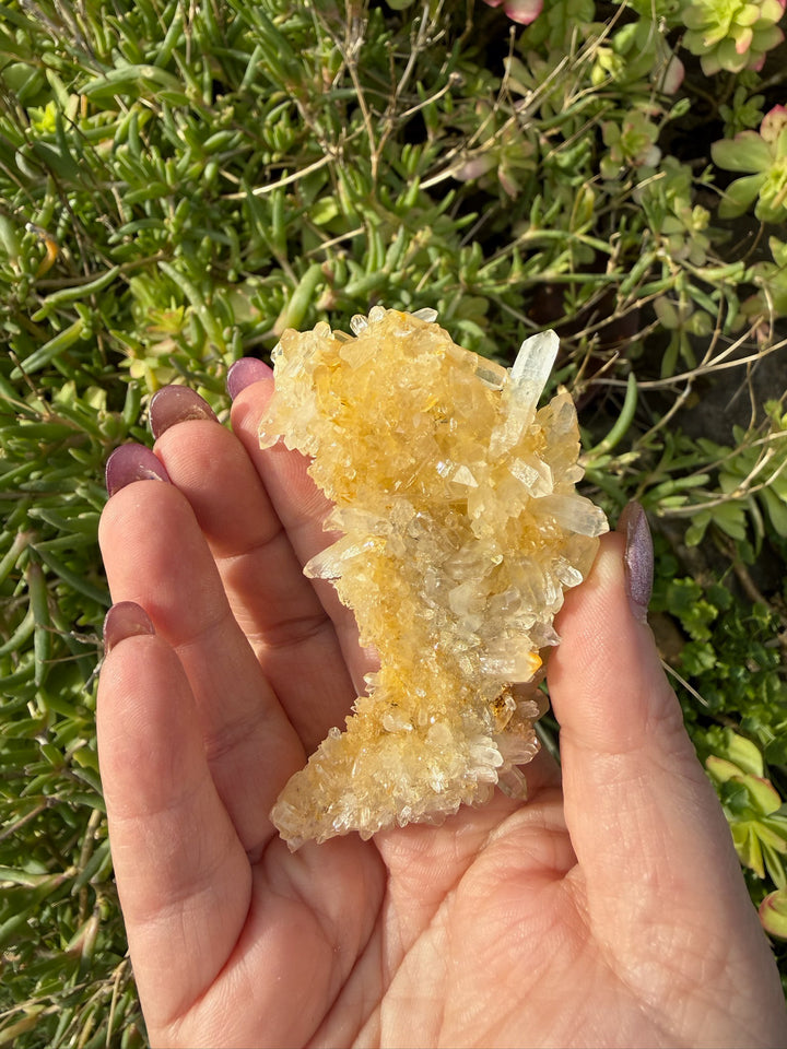 Quartz and Limonite Cluster Specimen