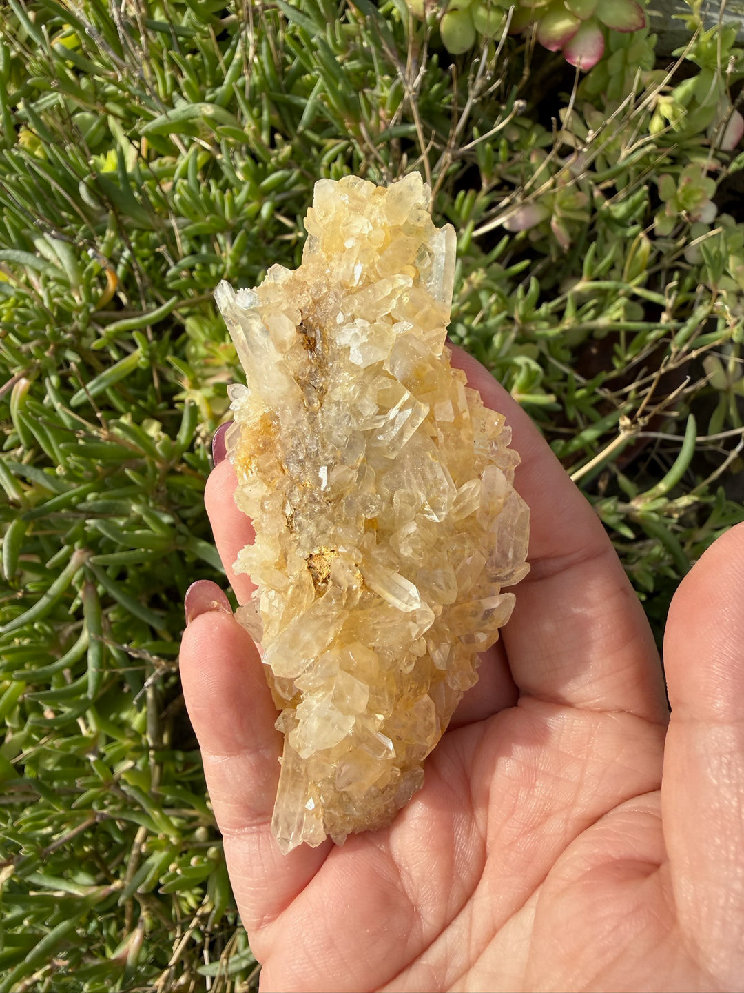 Quartz and Limonite Cluster Specimen