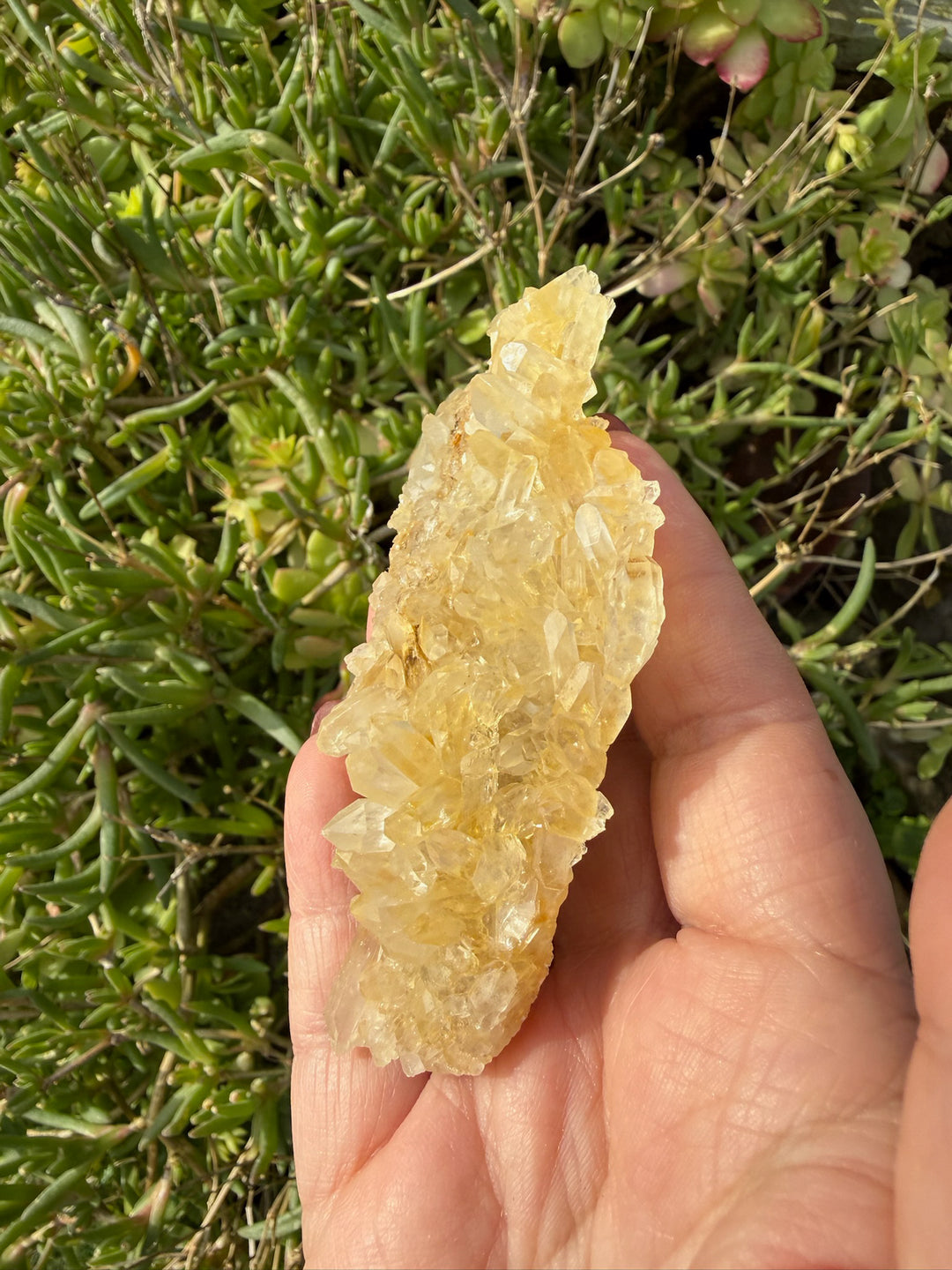 Quartz and Limonite Cluster Specimen