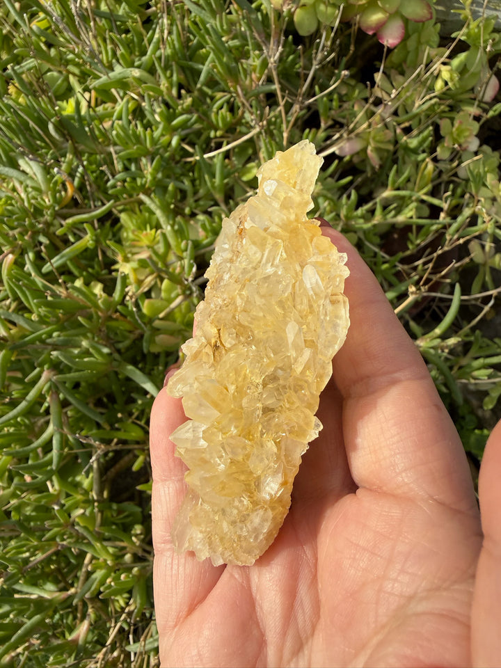 Quartz and Limonite Cluster Specimen