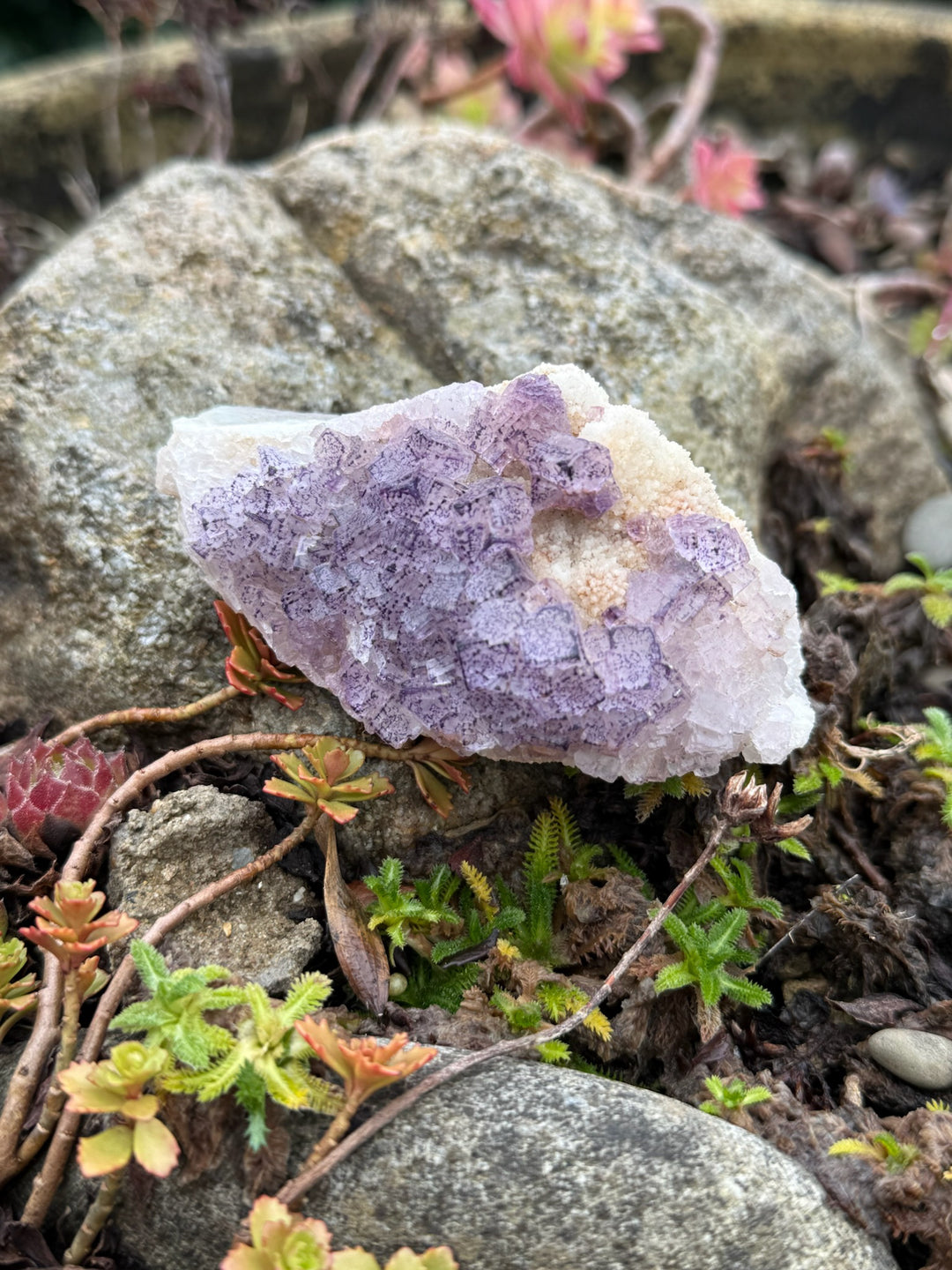Purple Fluorite Specimen from Fujian