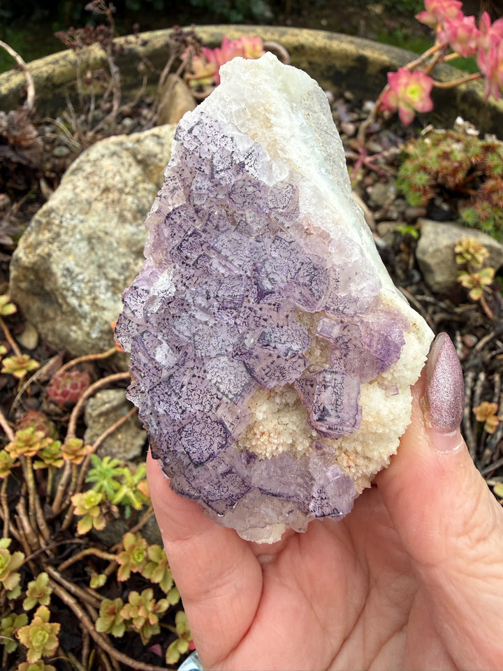 Purple Fluorite Specimen from Fujian