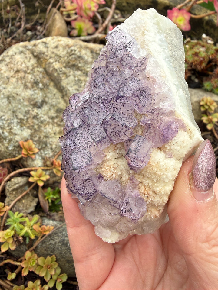 Purple Fluorite Specimen from Fujian