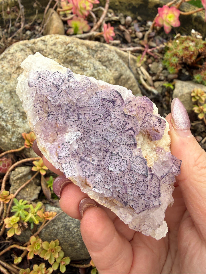 Purple Fluorite Specimen from Fujian