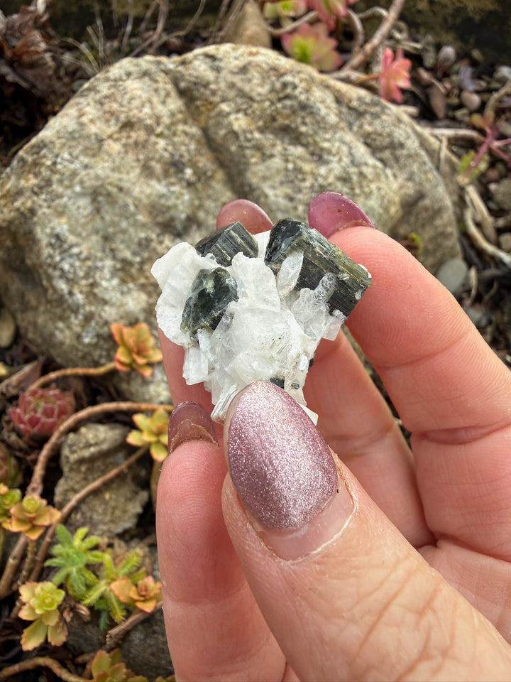 Terminated Green Tourmaline in Matrix Specimen