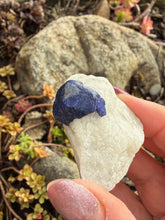 Load image into Gallery viewer, Lazurite Specimen
