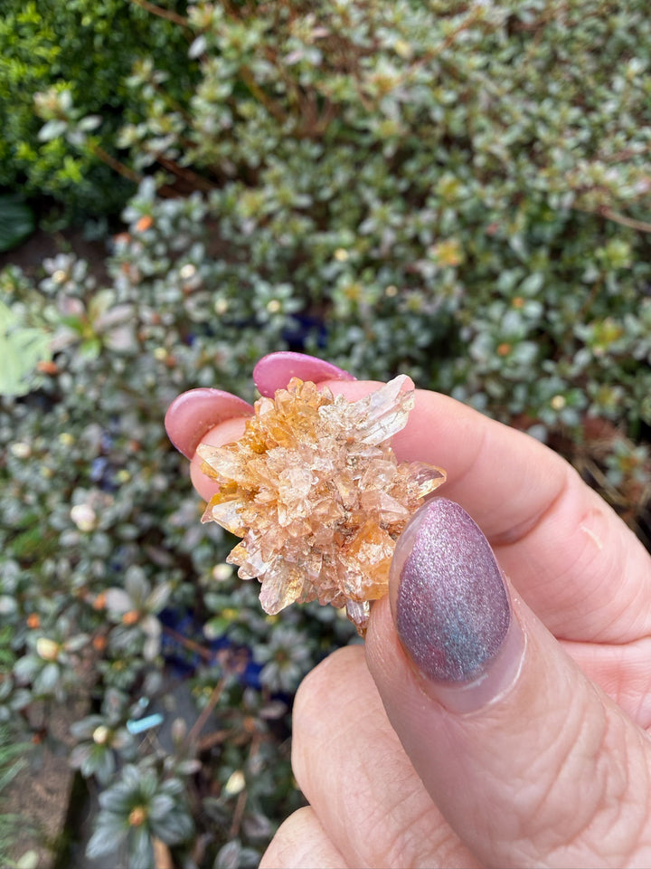 Creedite Specimen from Mexico
