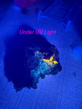 Load image into Gallery viewer, UV Reactive Marmatite with Pyrite from Jiangxi
