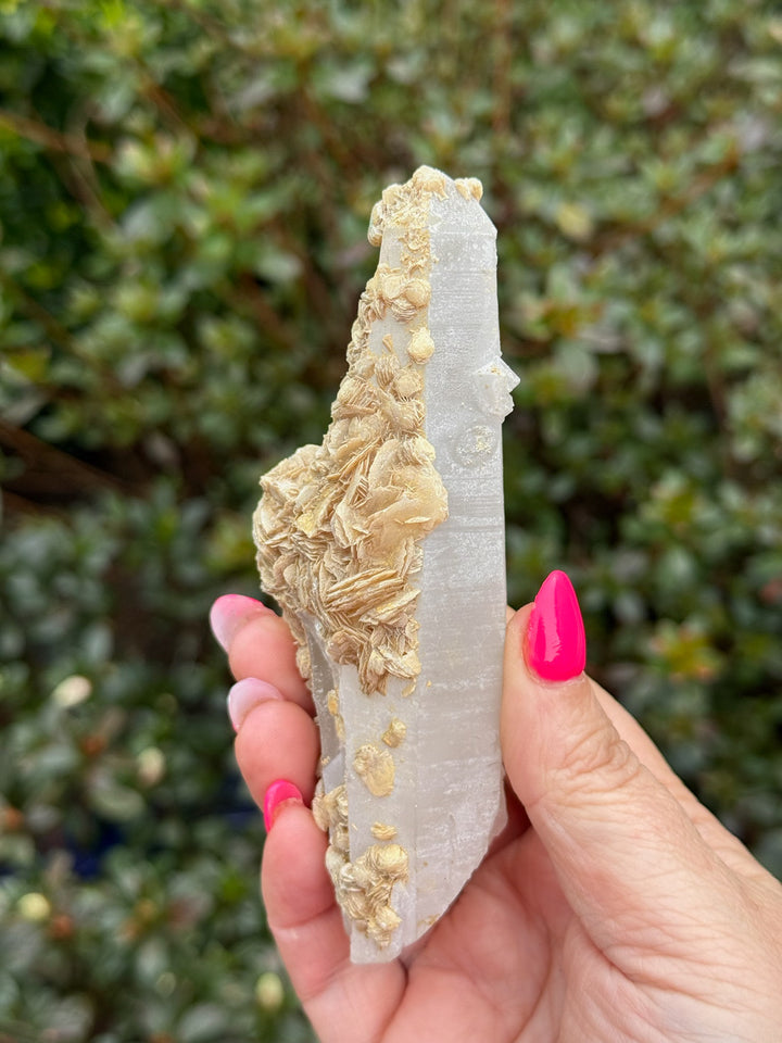 Quartz with Desert Rose Gypsum Specimen from Inner Mongolia