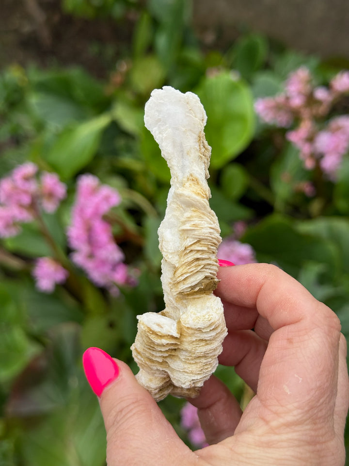 Unusual Uv reactive Calcite Specimen from Inner Mongolia
