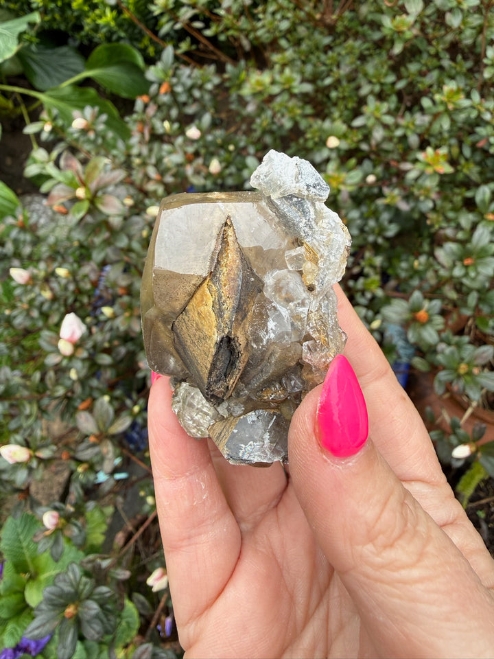Rare Eye of the Devil Calcite Specimen