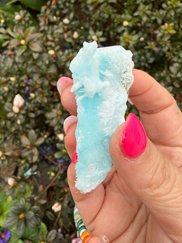 High Quality Blue Aragonite Specimen