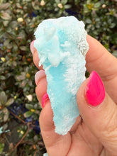 Load image into Gallery viewer, High Quality Blue Aragonite Specimen
