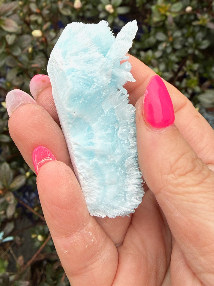 High Quality Blue Aragonite Specimen