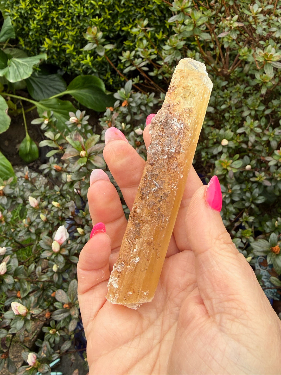 Rare yellow Selenite with Calcite