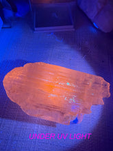 Load image into Gallery viewer, Large UV Reactive Clear Spodumene Specimen
