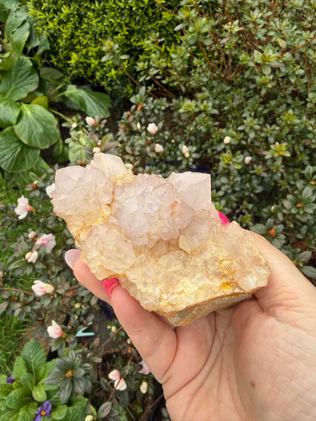 Spirit Quartz, Amethyst Cluster Specimen