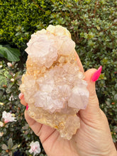 Load image into Gallery viewer, Spirit Quartz, Amethyst Cluster Specimen

