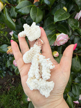 Load image into Gallery viewer, 4 Pieces of Coral Specimens
