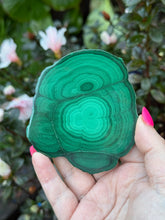 Load image into Gallery viewer, Malachite Stalactite Slice Specimen
