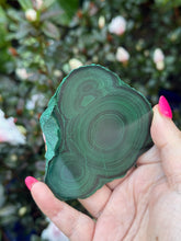 Load image into Gallery viewer, Malachite Stalactite Slice Specimen
