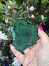 Load image into Gallery viewer, Malachite Stalactite Slice Specimen

