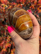 Load image into Gallery viewer, Nautilus Fossil From Madagascar
