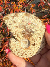 Load image into Gallery viewer, Cleoniceras Ammonite from Madagascar
