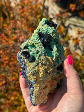 Load image into Gallery viewer, Large Gemmy Cobalt Azurite and Malachite
