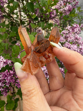 Load image into Gallery viewer, Natural Tangerine Quartz Cluster Specimen
