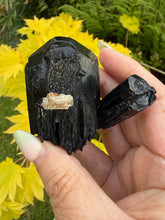 Load image into Gallery viewer, Rare Black Tourmaline with Aquamarine Specimen
