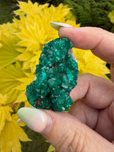 Load image into Gallery viewer, Vibrant Dioptase Specimen from Namibia
