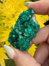 Load image into Gallery viewer, Vibrant Dioptase Specimen from Namibia
