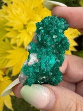 Load image into Gallery viewer, Vibrant Dioptase Specimen from Namibia
