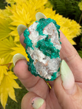 Load image into Gallery viewer, Vibrant Dioptase Specimen from Namibia
