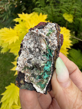 Load image into Gallery viewer, Willemite with Chrysocolla from Tsumeb Mine
