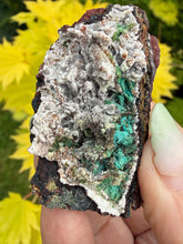 Load image into Gallery viewer, Willemite with Chrysocolla from Tsumeb Mine
