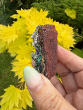 Load image into Gallery viewer, Willemite with Chrysocolla from Tsumeb Mine
