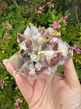 Load image into Gallery viewer, Large Bicolour Calcite from Chihuahua Mexico

