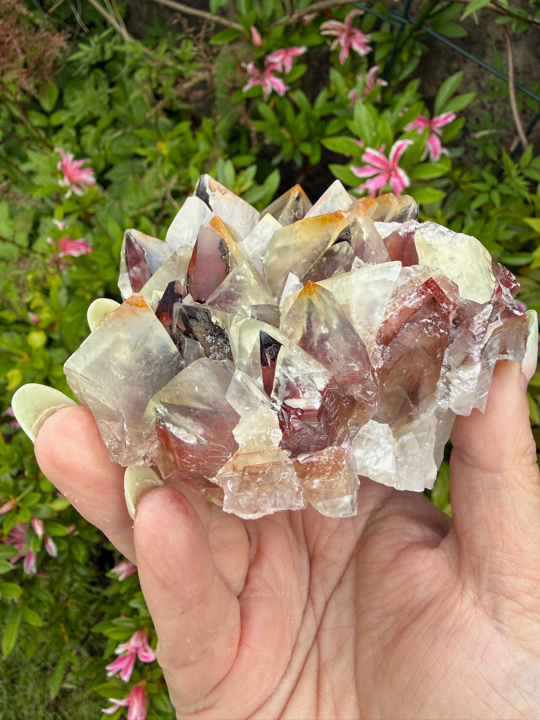 Large Bicolour Calcite from Chihuahua Mexico