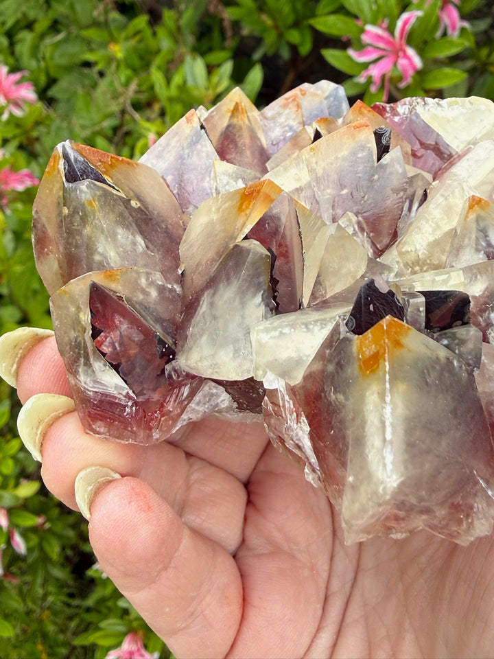 Large Bicolour Calcite from Chihuahua Mexico