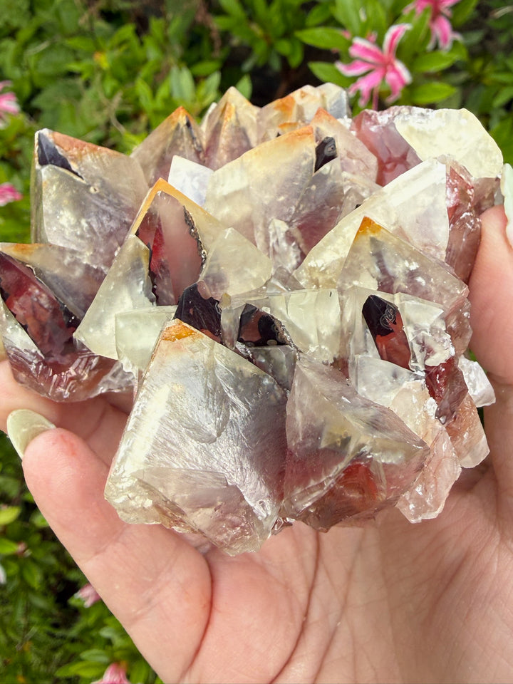Large Bicolour Calcite from Chihuahua Mexico