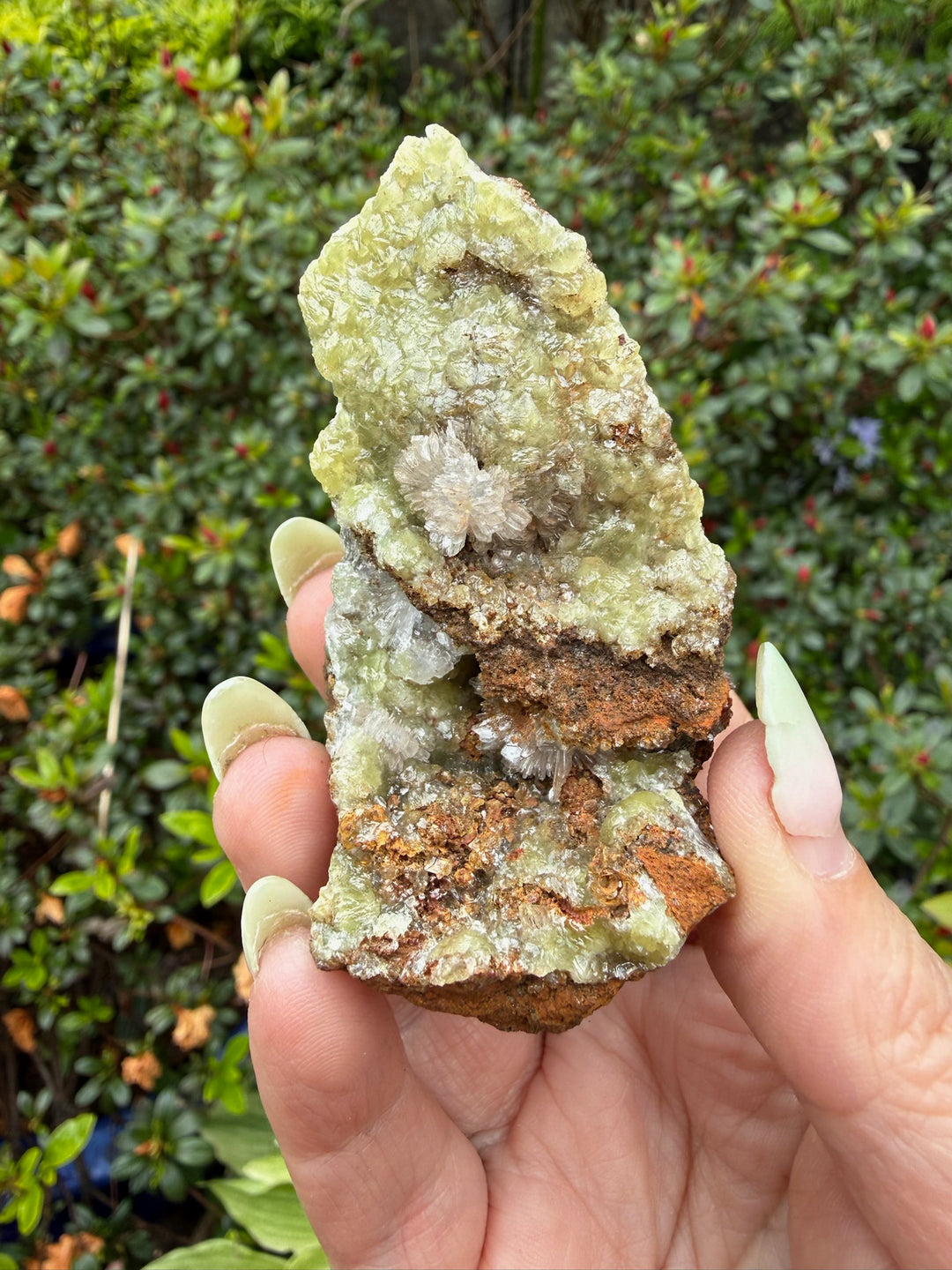 Uv Reactive Adamite Specimen Mexico
