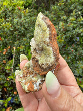 Load image into Gallery viewer, Uv Reactive Adamite Specimen Mexico
