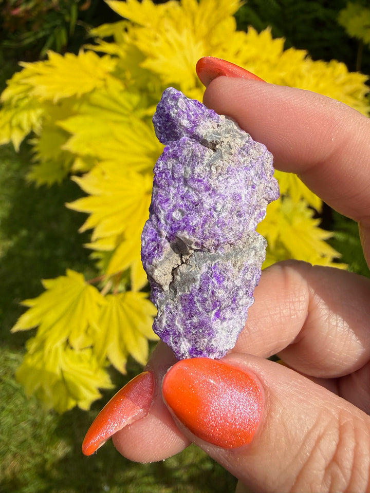 Sugilite Specimen from Wessels Mine